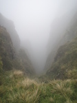 SX32903 View down misty gully.jpg